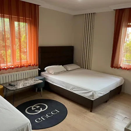 Hotel Yesil Ida Pansiyon *